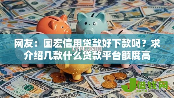网友:国宏信用贷款好下款吗?求介绍几款什么贷款平台额度高 网友:国宏信用贷款好下款吗?求介绍几款什么贷款平台额度高