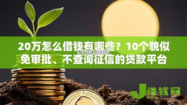 20万怎么借钱有哪些?10个貌似免审批、不查询征信的贷款平台合集 20万怎么借钱有哪些?10个貌似免审批、不查询征信的贷款平台合集