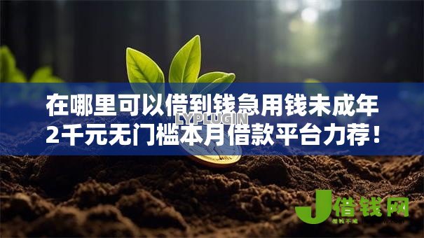 在哪里可以借到钱急用钱未成年2千元无门槛本月借款平台力荐！分享小额网贷口子2千元无门槛借款