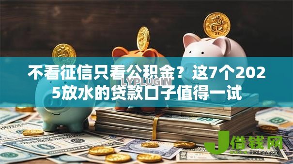 不看征信只看公积金？这7个2025放水的贷款口子值得一试