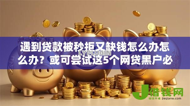 遇到贷款被秒拒又缺钱怎么办怎么办？或可尝试这5个网贷黑户必过平台