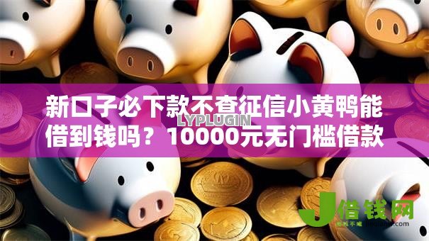 新口子必下款不查征信小黄鸭能借到钱吗？10000元无门槛借款6个平台推荐