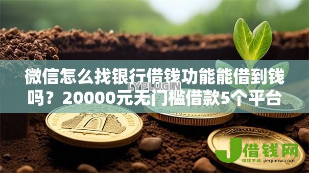 微信怎么找银行借钱功能能借到钱吗？20000元无门槛借款5个平台推荐