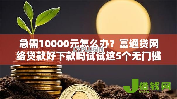 急需10000元怎么办？富通贷网络贷款好下款吗试试这5个无门槛平台