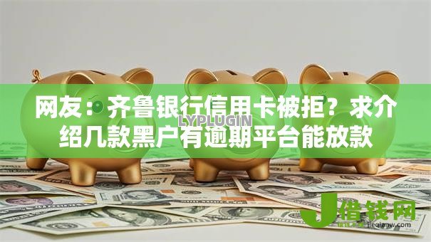 网友：齐鲁银行信用卡被拒？求介绍几款黑户有逾期平台能放款