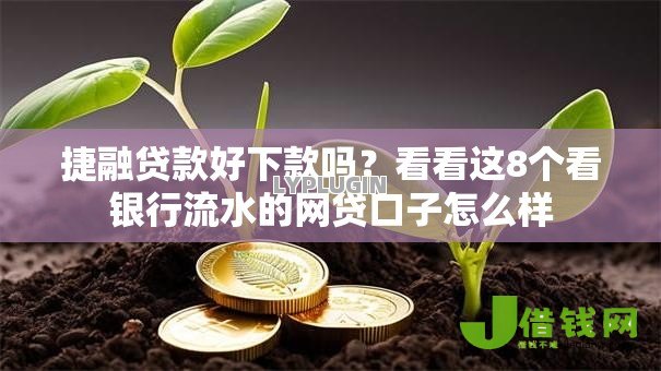 捷融贷款好下款吗？看看这8个看银行流水的网贷口子怎么样