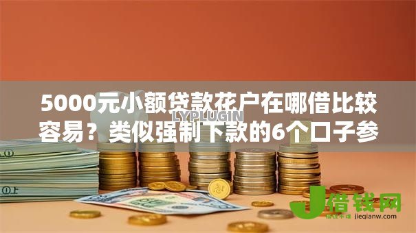 5000元小额贷款花户在哪借比较容易?类似强制下款的6个口子参考 5000元小额贷款花户在哪借比较容易?类似强制下款的6个口子参考