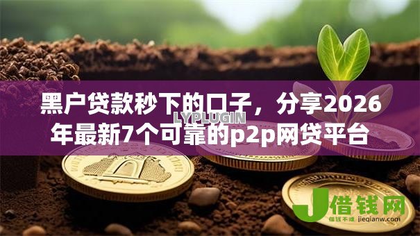 黑户贷款秒下的口子,分享2026年最新7个可靠的p2p网贷平台 黑户贷款秒下的口子,分享2026年最新7个可靠的p2p网贷平台