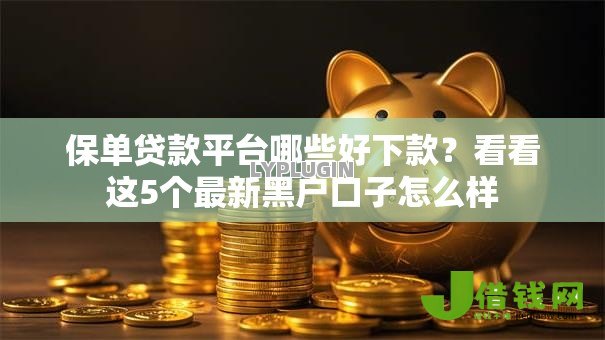 保单贷款平台哪些好下款？看看这5个最新黑户口子怎么样