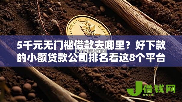 5千元无门槛借款去哪里？好下款的小额贷款公司排名看这8个平台