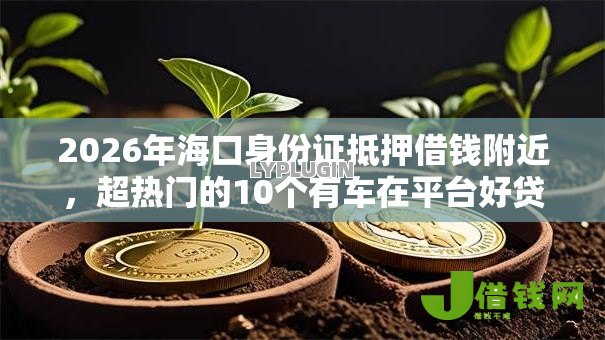 2026年海口身份证抵押借钱附近,超热门的10个有车在平台好贷款推荐 2026年海口身份证抵押借钱附近,超热门的10个有车在平台好贷款推荐