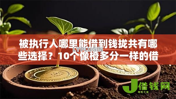 被执行人哪里能借到钱拢共有哪些选择?10个像橙多分一样的借款平台详解 被执行人哪里能借到钱拢共有哪些选择?10个像橙多分一样的借款平台详解