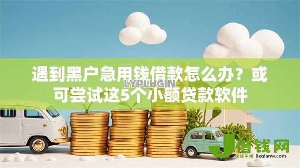遇到黑户急用钱借款怎么办？或可尝试这5个小额贷款软件