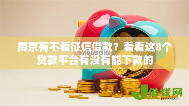 南京有不看征信借款？看看这8个贷款平台有没有能下款的