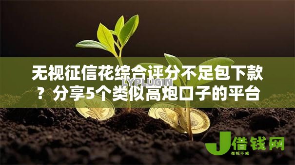 无视征信花综合评分不足包下款?分享5个类似高炮口子的平台 无视征信花综合评分不足包下款?分享5个类似高炮口子的平台