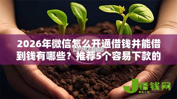 2026年微信怎么开通借钱并能借到钱有哪些?推荐5个容易下款的平台 2026年微信怎么开通借钱并能借到钱有哪些?推荐5个容易下款的平台