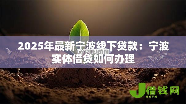 2025年最新宁波线下贷款:宁波实体借贷如何办理 2025年最新宁波线下贷款:宁波实体借贷如何办理