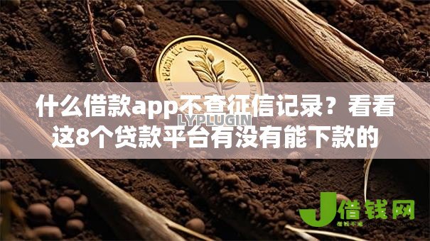 什么借款app不查征信记录？看看这8个贷款平台有没有能下款的