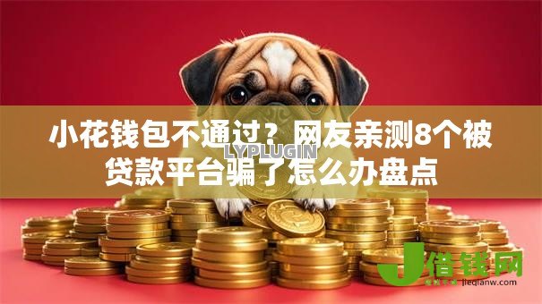 小花钱包不通过?网友亲测8个被贷款平台骗了怎么办盘点 小花钱包不通过?网友亲测8个被贷款平台骗了怎么办盘点