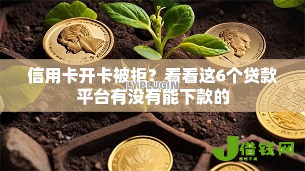 信用卡开卡被拒？看看这6个贷款平台有没有能下款的