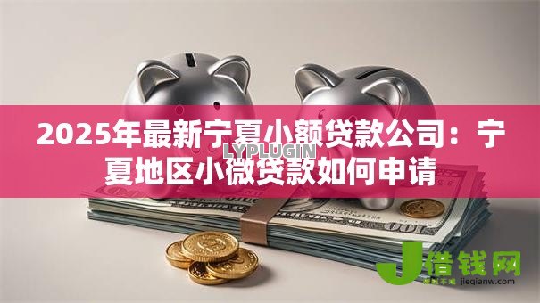 2025年最新宁夏小额贷款公司:宁夏地区小微贷款如何申请 2025年最新宁夏小额贷款公司:宁夏地区小微贷款如何申请