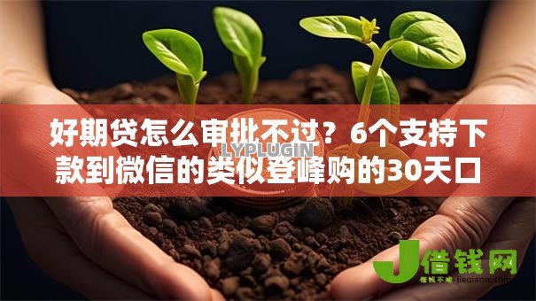好期贷怎么审批不过？6个支持下款到微信的类似登峰购的30天口子