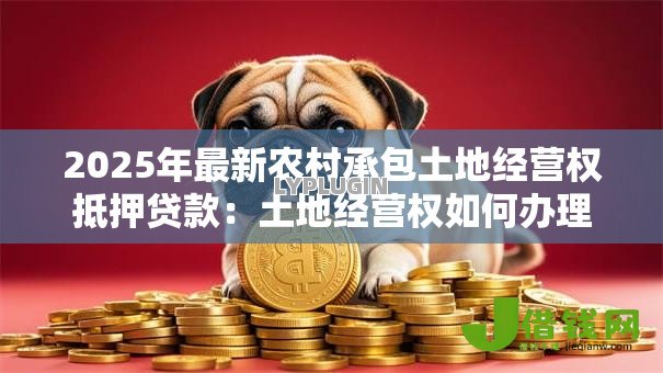 2025年最新农村承包土地经营权抵押贷款：土地经营权如何办理抵押融资