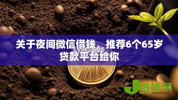 关于夜间微信借钱,推荐6个65岁贷款平台给你 关于夜间微信借钱,推荐6个65岁贷款平台给你