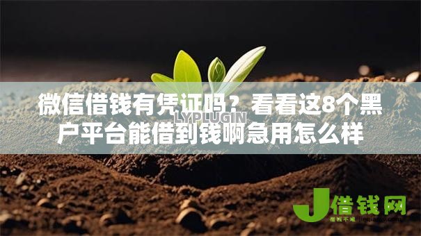 微信借钱有凭证吗？看看这8个黑户平台能借到钱啊急用怎么样