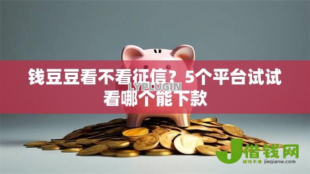 钱豆豆看不看征信？5个平台试试看哪个能下款