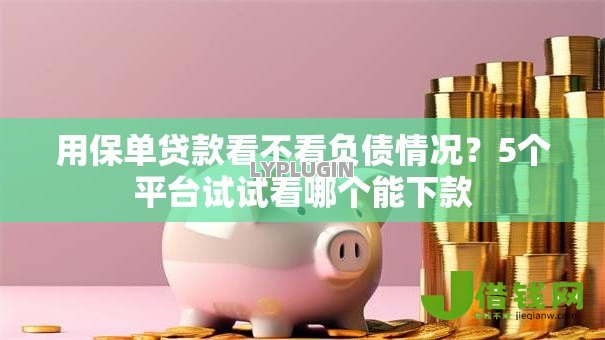 用保单贷款看不看负债情况？5个平台试试看哪个能下款