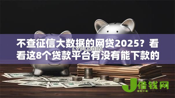 不查征信大数据的网贷2025？看看这8个贷款平台有没有能下款的