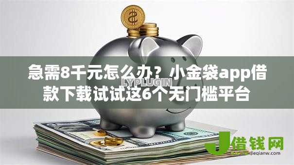 急需8千元怎么办？小金袋app借款下载试试这6个无门槛平台