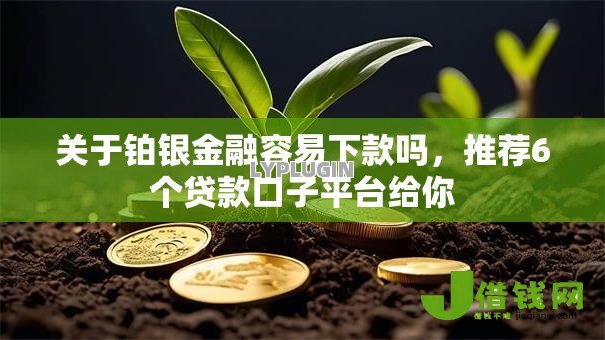 关于铂银金融容易下款吗，推荐6个贷款口子平台给你