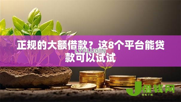 正规的大额借款?这8个平台能贷款可以试试 正规的大额借款?这8个平台能贷款可以试试