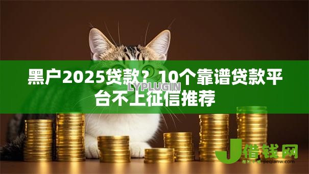 黑户2025贷款?10个靠谱贷款平台不上征信推荐 黑户2025贷款?10个靠谱贷款平台不上征信推荐