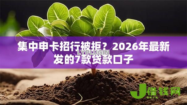集中申卡招行被拒?2026年最新发的7款贷款口子 集中申卡招行被拒?2026年最新发的7款贷款口子