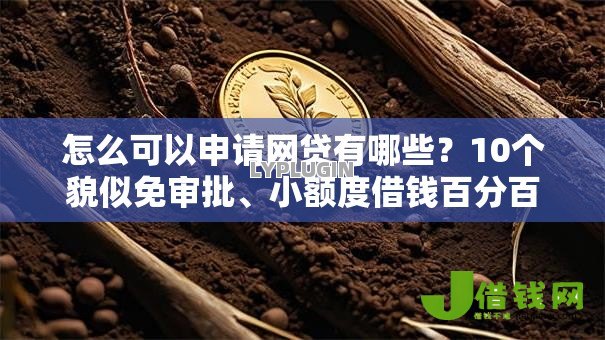 怎么可以申请网贷有哪些?10个貌似免审批、小额度借钱百分百通过的平台合集 怎么可以申请网贷有哪些?10个貌似免审批、小额度借钱百分百通过的平台合集
