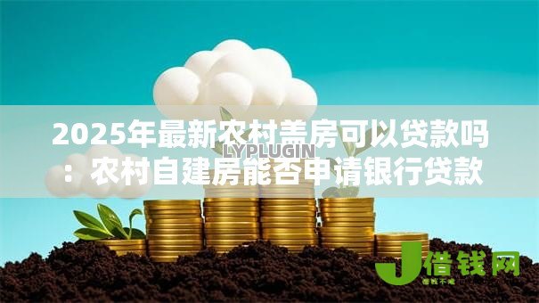 2025年最新农村盖房可以贷款吗：农村自建房能否申请银行贷款