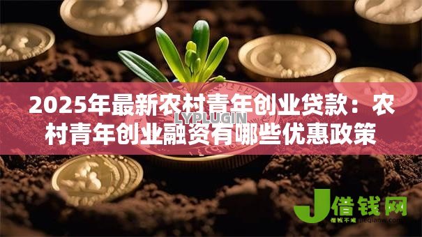 2025年最新农村青年创业贷款：农村青年创业融资有哪些优惠政策