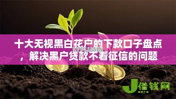 十大无视黑白花户的下款口子盘点,解决黑户贷款不看征信的问题 十大无视黑白花户的下款口子盘点,解决黑户贷款不看征信的问题