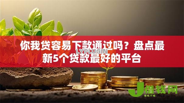 你我贷容易下款通过吗？盘点最新5个贷款最好的平台