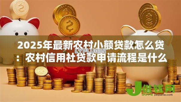 2025年最新农村小额贷款怎么贷：农村信用社贷款申请流程是什么