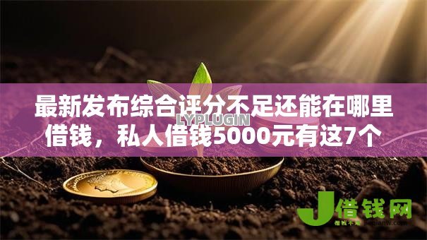 最新发布综合评分不足还能在哪里借钱,私人借钱5000元有这7个渠道 最新发布综合评分不足还能在哪里借钱,私人借钱5000元有这7个渠道