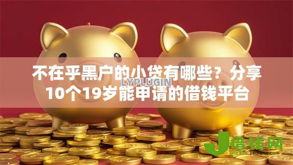 不在乎黑户的小贷有哪些？分享10个19岁能申请的借钱平台