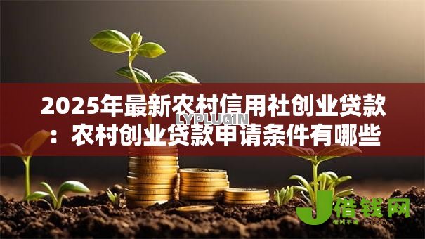 2025年最新农村信用社创业贷款：农村创业贷款申请条件有哪些