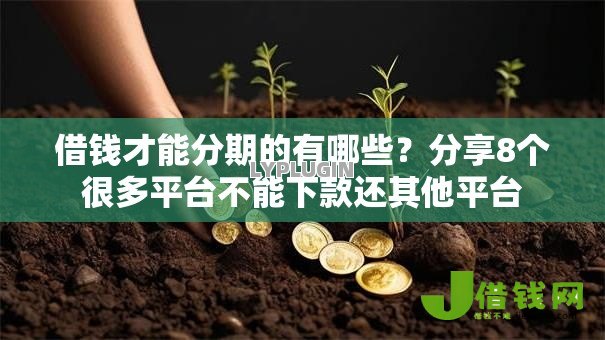 借钱才能分期的有哪些?分享8个很多平台不能下款还其他平台 借钱才能分期的有哪些?分享8个很多平台不能下款还其他平台