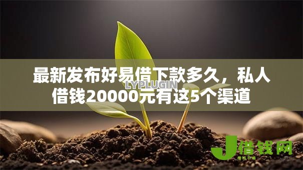 最新发布好易借下款多久，私人借钱20000元有这5个渠道