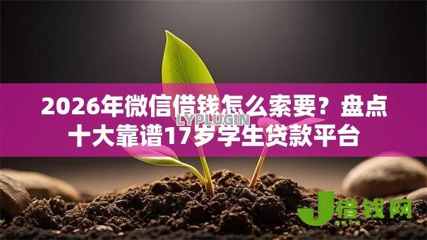 2026年微信借钱怎么索要？盘点十大靠谱17岁学生贷款平台