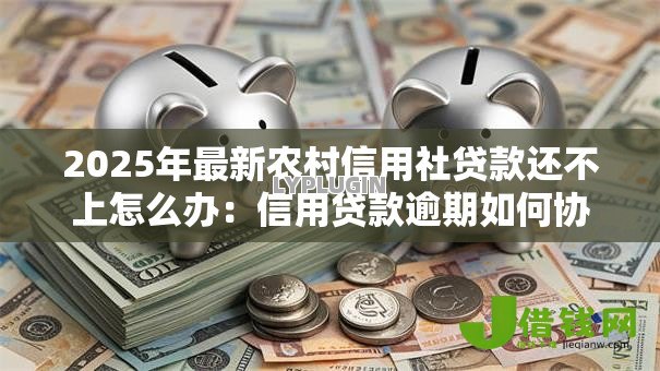 2025年最新农村信用社贷款还不上怎么办：信用贷款逾期如何协商还款方案